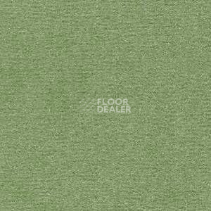Ковролин Radici Nexus Lichene 8225 фото 1 | FLOORDEALER